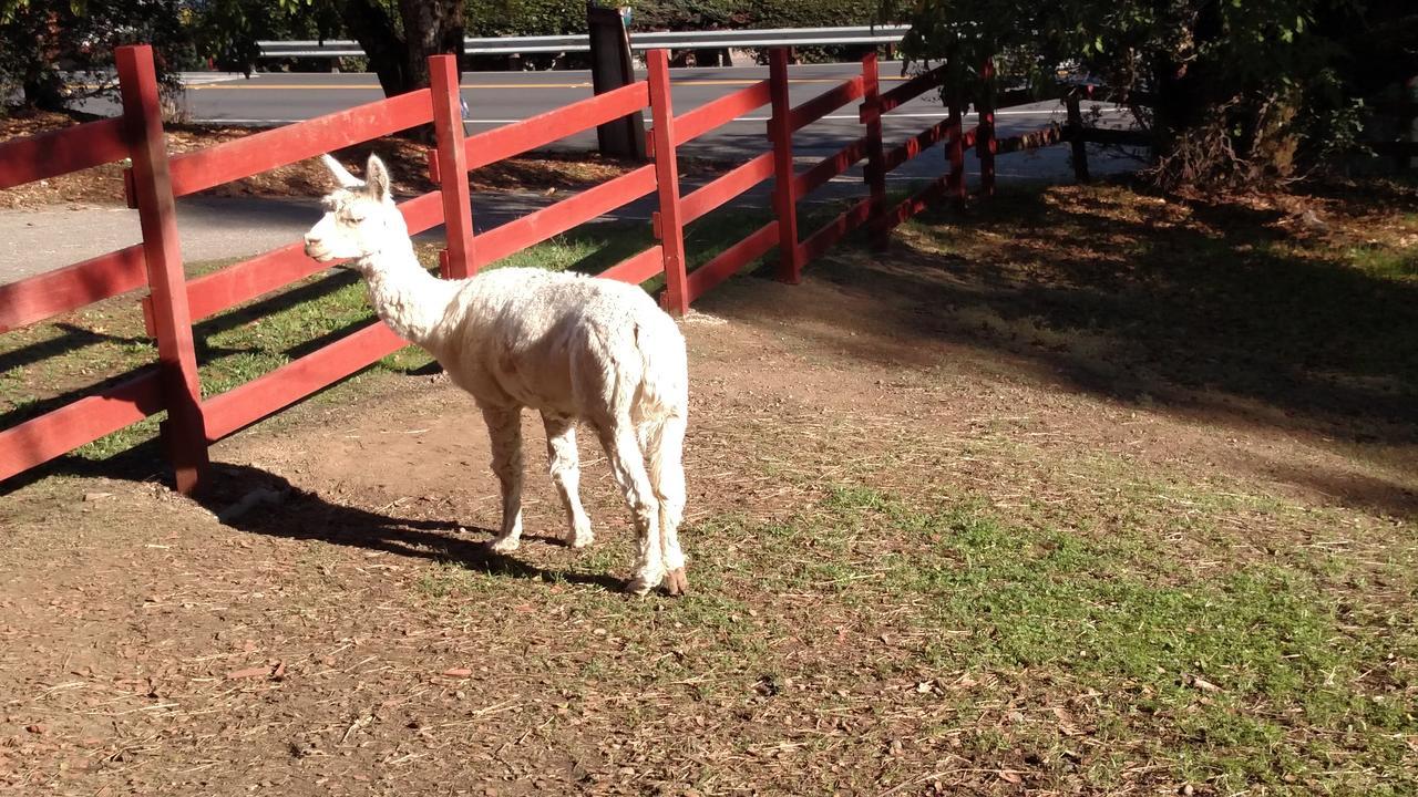 Grand Lodgeガイザービル エクステリア 写真